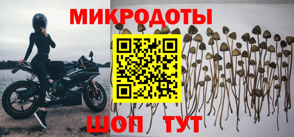 Галлюциногенные грибы мухоморы Курск