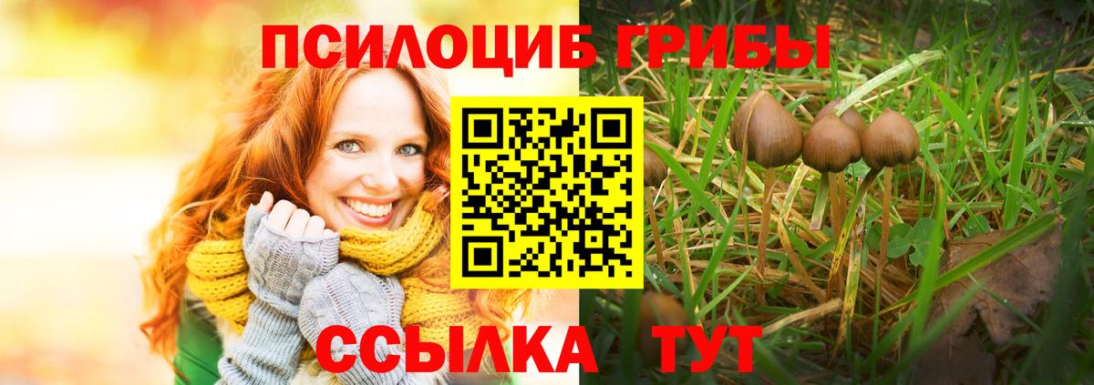 Галлюциногенные грибы GOLDEN TEACHER  Вход с VPN  Псилоцибиновые грибы прущие грибы  Курск 